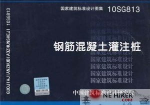 10SG813钢筋混凝土灌注桩图集-规范图集|经验交流-金瓦刀