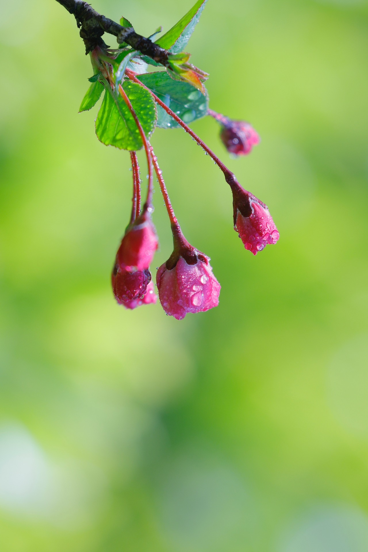 金瓦刀-建筑资料分享