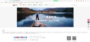 零基础，最完整的WordPress建站教程-规范图集|经验交流-金瓦刀