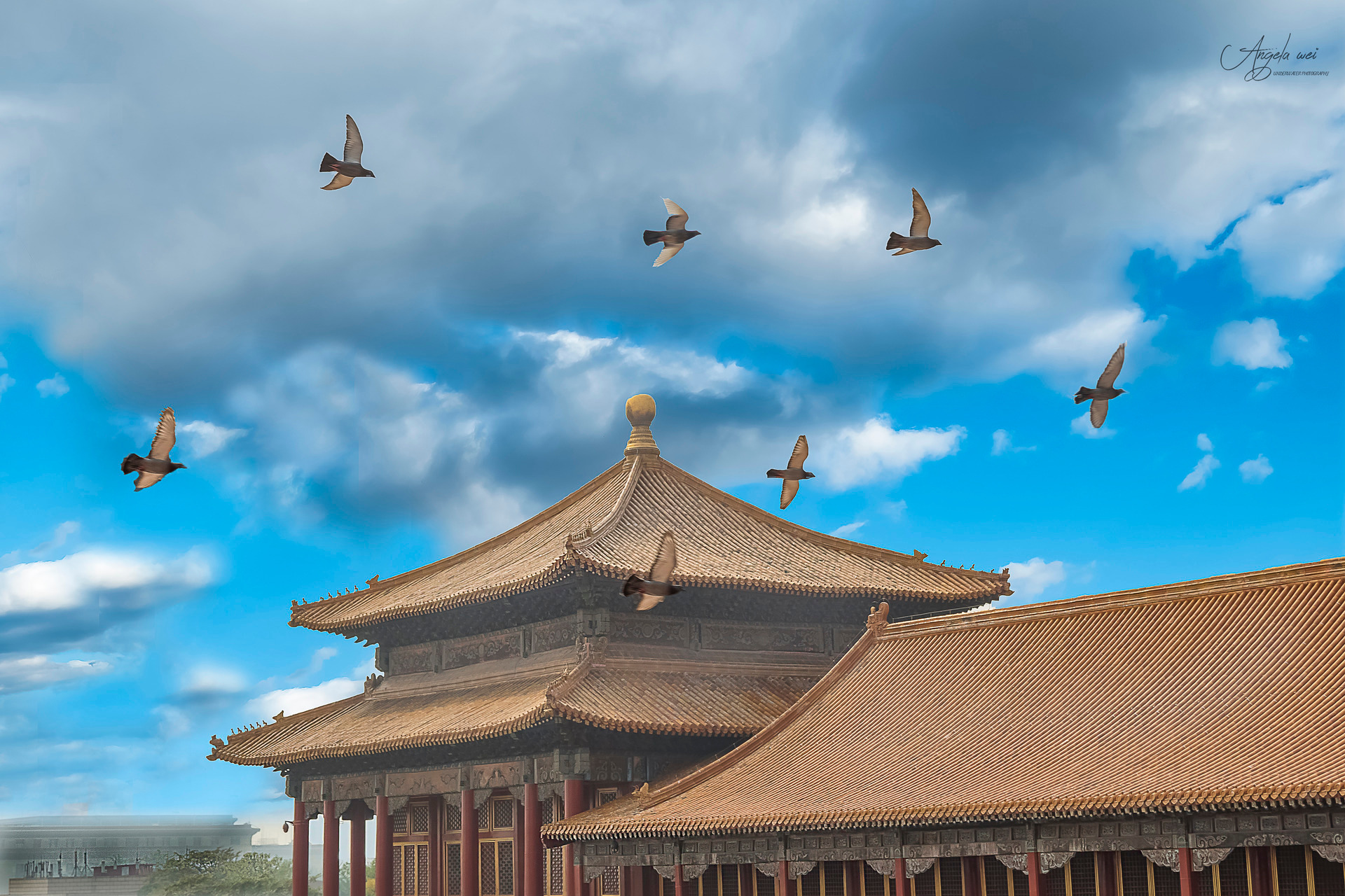 金瓦刀-建筑资料分享