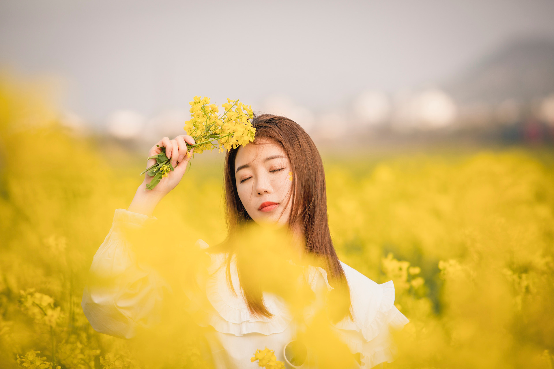 金瓦刀-建筑资料分享