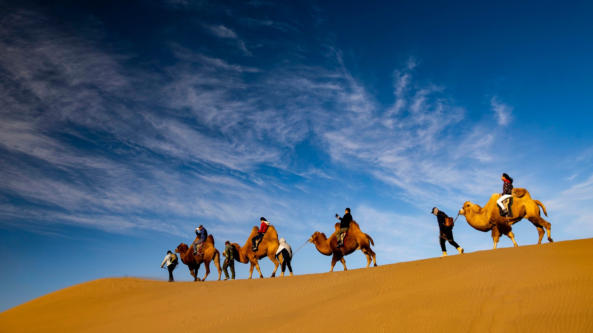 金瓦刀-建筑资料分享