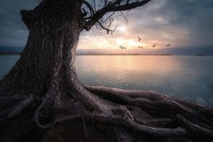 詹姆斯的星空摄影教程⑤:星空摄影对焦-上-规范图集|经验交流-金瓦刀