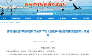 震后农村住房实用抗震图集-规范图集|经验交流-金瓦刀