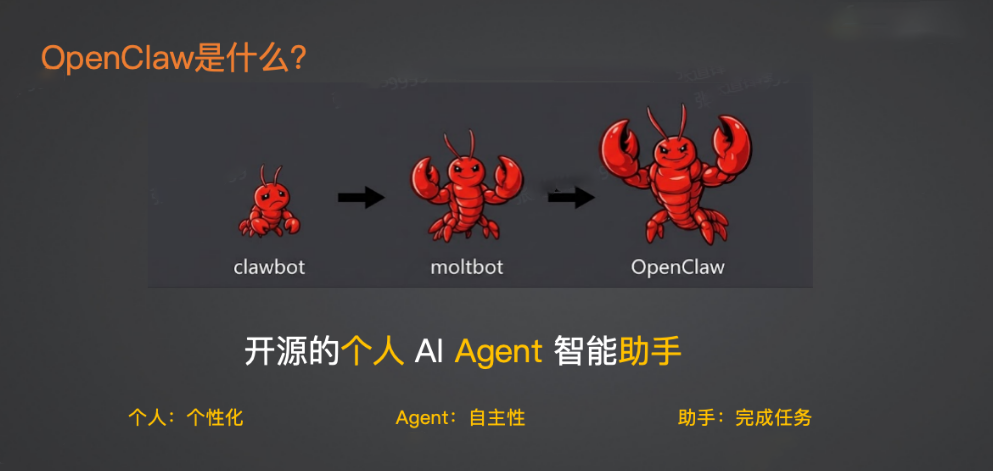 图片描述（用于SEO和无障碍）