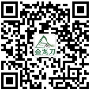 全球 Top 10 大模型榜单出炉！开源力量正在重塑 AI 格局-规范图集|经验交流-金瓦刀